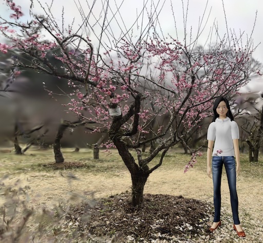 3D Gaussian Splatting